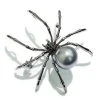 Alibaba The Weaver Spider Vintage Inspired Brooch In Onyx & Pearl