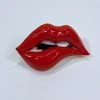 Alibaba What's New, Pussycat? Dammit Janet Red Enameled Biting Lips Brooch