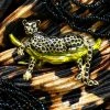 Alibaba Vintage Inspired Black & Gold Leopard Brooch Under $60 1 Alibaba Vintage Inspired Black & Gold Leopard Brooch Under $60